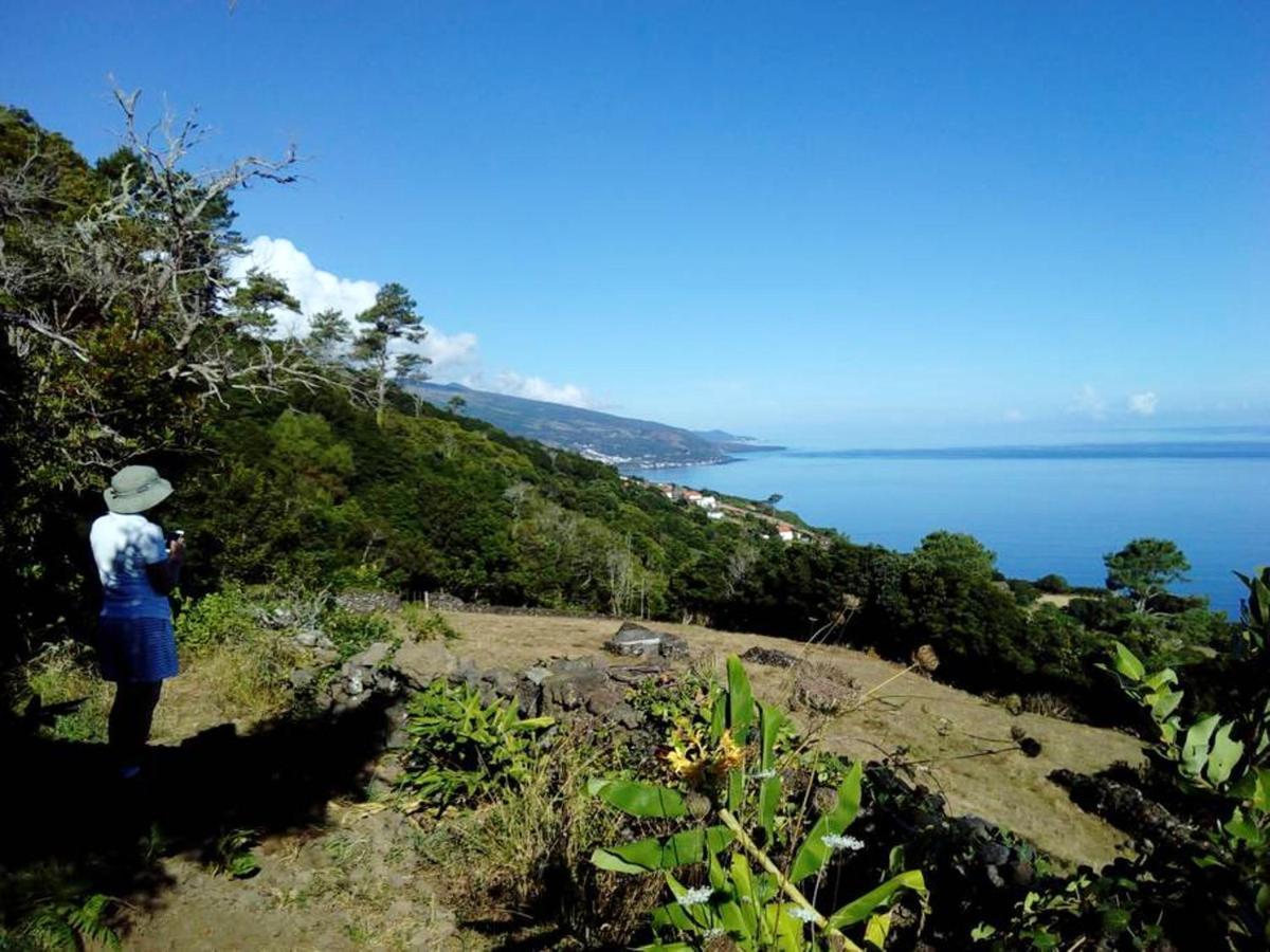 House With Sea View In Santo Amaro, 212 Sq M, Terrace Villa Santo Amaro  Екстериор снимка