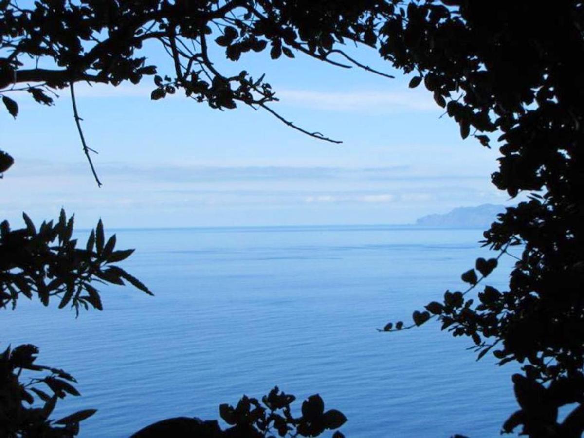 House With Sea View In Santo Amaro, 212 Sq M, Terrace Villa Santo Amaro  Екстериор снимка